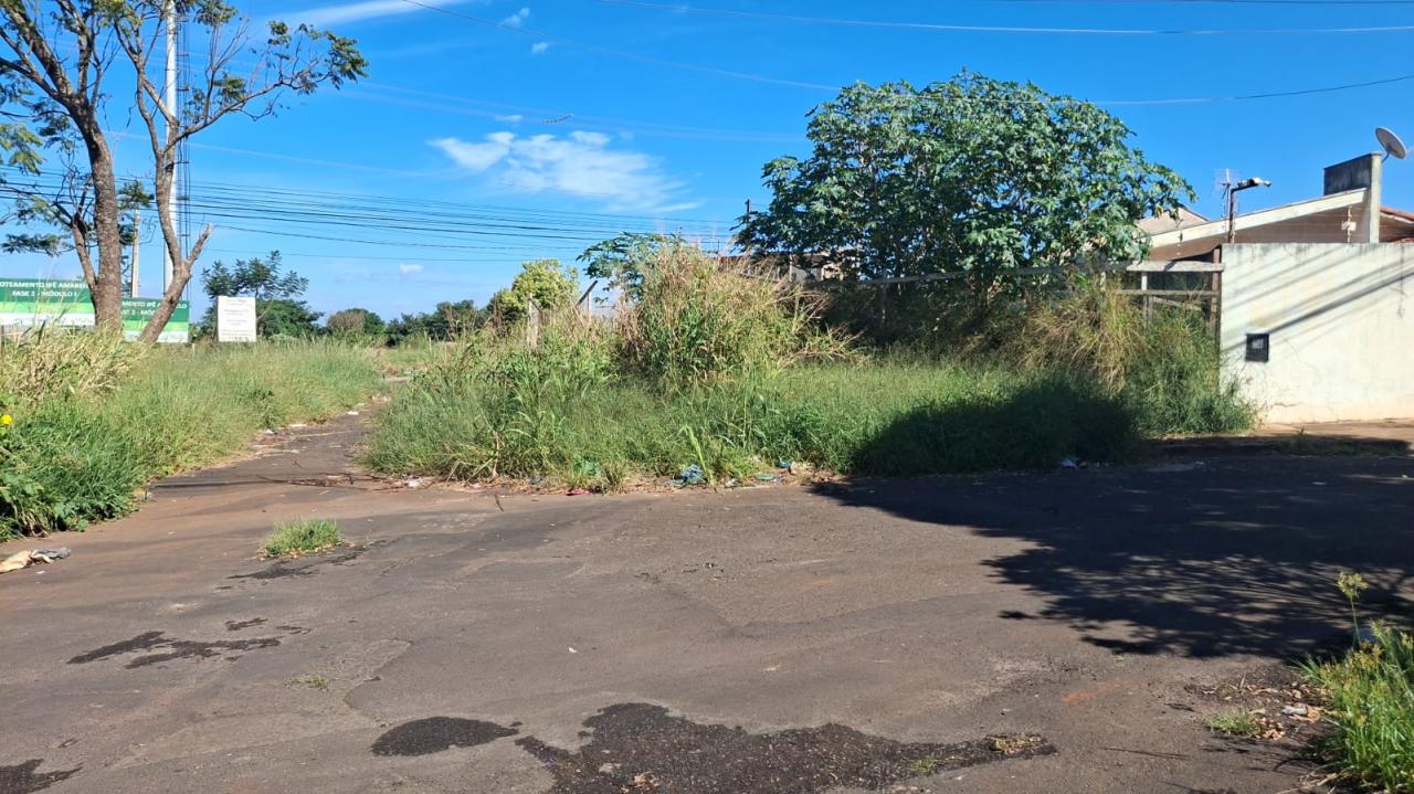Foto 4 de 5 — 'Cadê a praça'? Moradores denunciam abandono de área pública em Araraquara